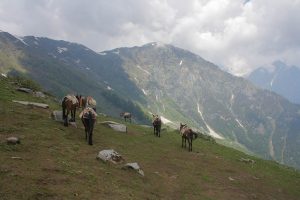 rani sui lake trek