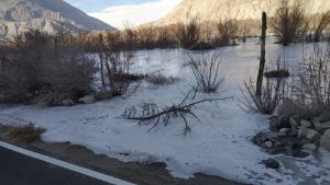 cycling in leh ladakh