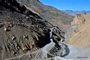 jispa to leh