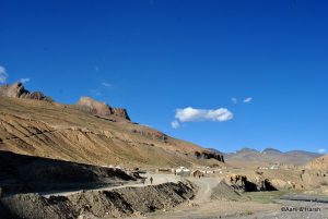 jispa to leh