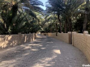 al ain oasis