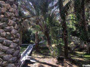 al ain oasis