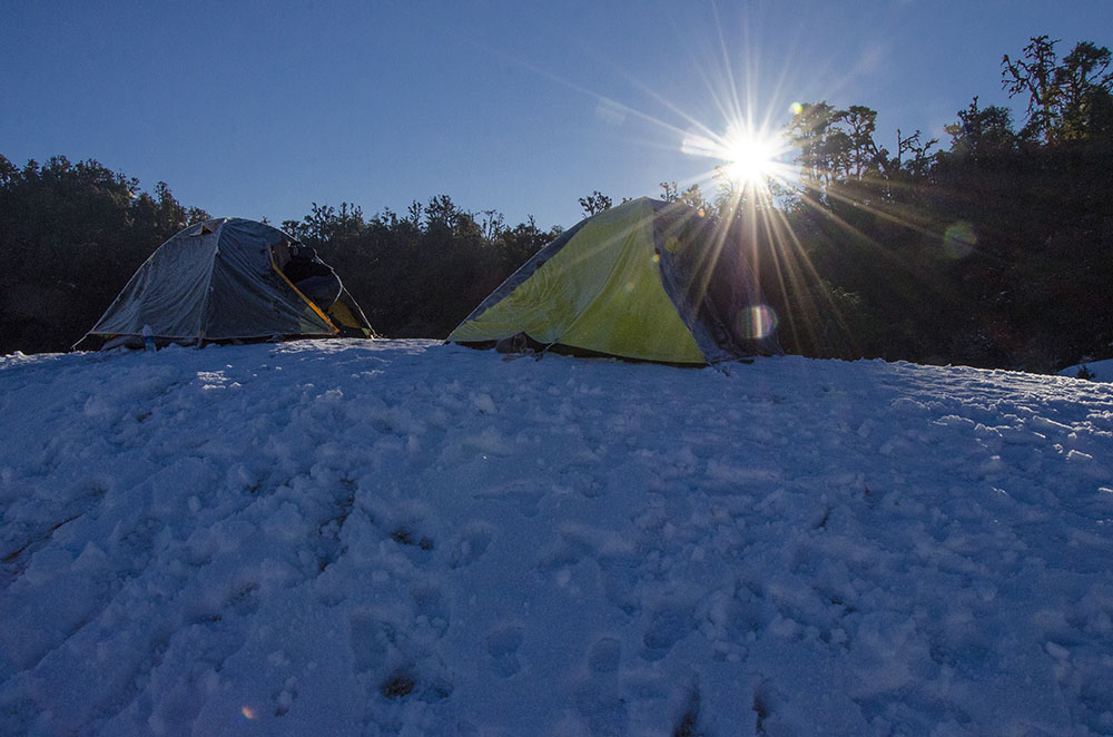 camping in chopta