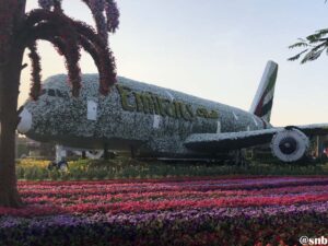 dubai miracle garden