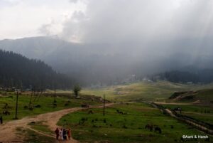 gulmarg