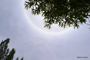 local sightseeing in leh