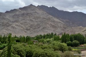 local sightseeing in leh