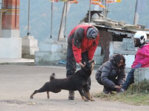 Phuntsholing to Paro