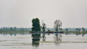 dal lake