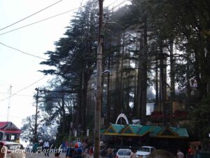 dalhousie