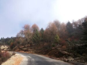 Trongsa to Thrumshing La