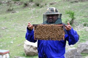 rohru to chanshal pass