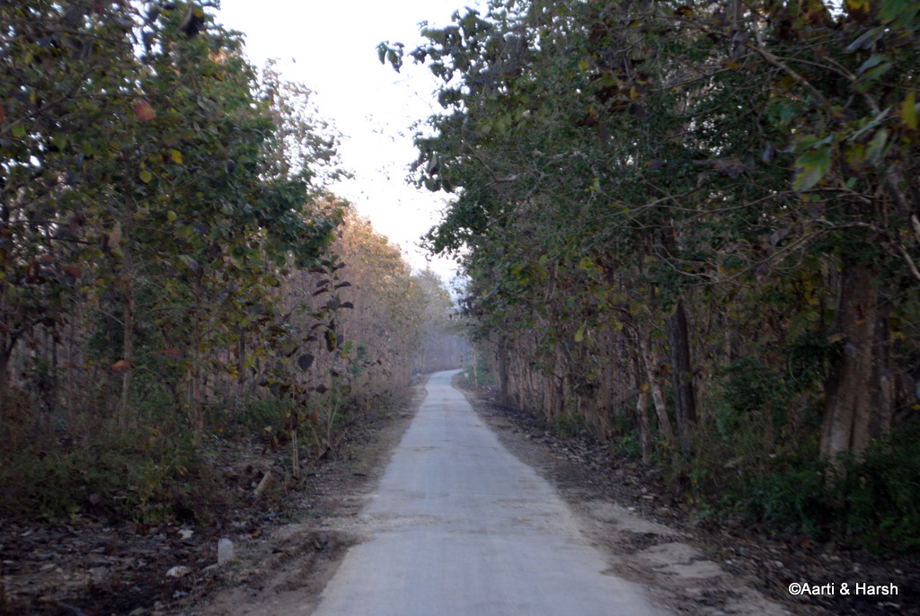 Sitavani temple road
