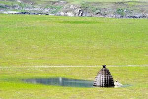 delhi to patnitop road trip