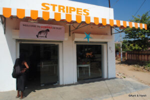 delhi to ranthambore road trip