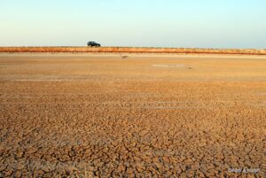Rann of Kutch