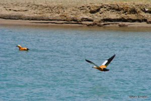 Hanle to Pangong Tso