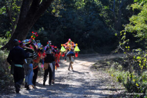 delhi to jim corbett road trip