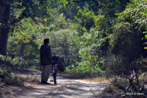 delhi to jim corbett road trip