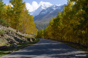 killar to udaipur to manali