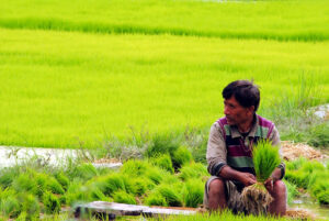 patnitop to leh ladakh