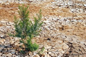 rann of kutch road trip