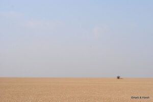 rann of kutch