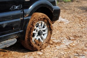 marsh in the rann of kutch