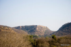 Ranthambore fort
