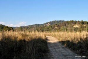 delhi to jim corbett road trip