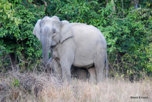 delhi to jim corbett road trip