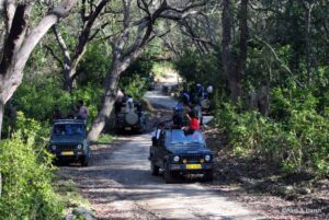 delhi to jim corbett road trip