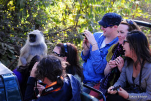 delhi to ranthambore road trip