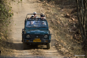 road trip to ranthambore