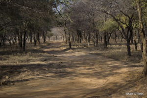 road trip to ranthambore