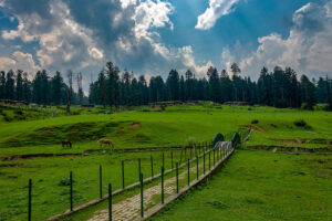 best time to visit kashmir