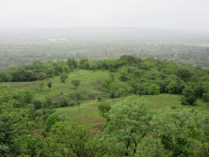 Grasslands from Ananthagiri viewpoint