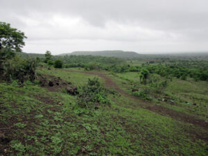 Ananthagiri hills forest trek