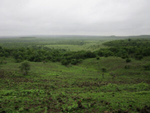 Ananthagiri hills forest trek