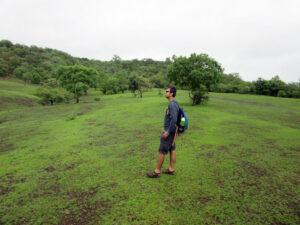 Grasslands from Ananthagiri viewpoint