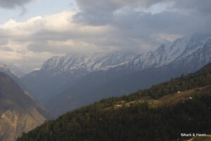 auli gorson winter trek