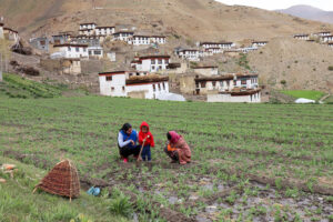 family trip to spiti valley