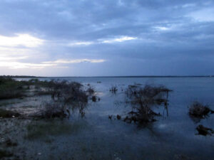Osman Sagar (Gandipet) Lake