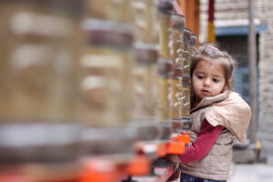 family trip to spiti valley