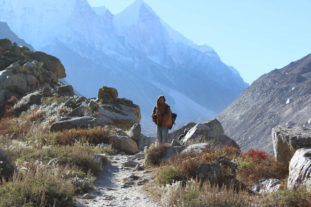 gomukh trek