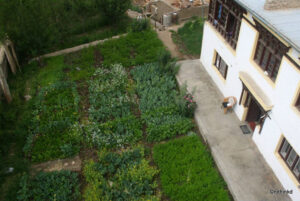 Leh City Sightseeing