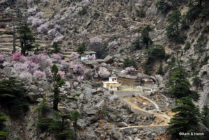 Road Trip to Auli, Malari Village and Niti Valley