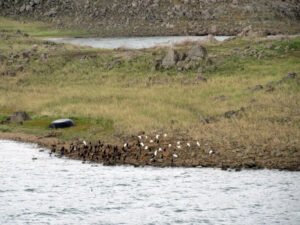 weekend attractions in hyderabad