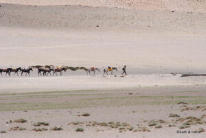 sarchu to leh