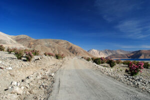 Pangong Lake to Leh